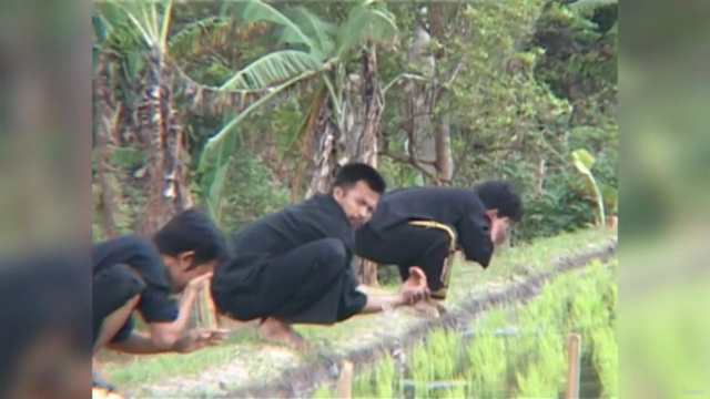 Pencak Silat - Pamonyet - The Monkey Fighting System Vol.2 - Screenshot_03