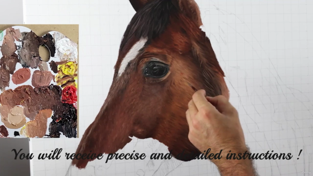 Learn how to paint a horse - Screenshot_03