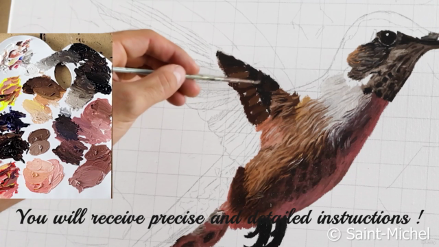 How to paint a hummingbird - Screenshot_03