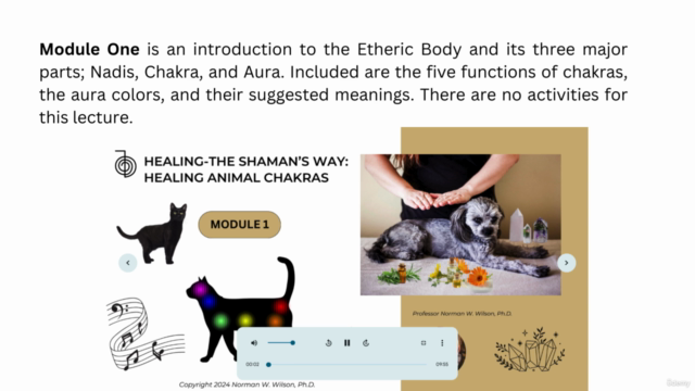 HEALING- THE SHAMAN'S WAY: HEALING ANIMAL CHAKRAS - Screenshot_01