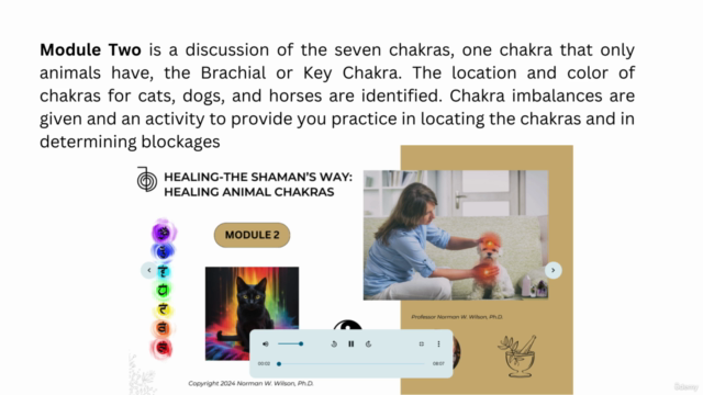 HEALING- THE SHAMAN'S WAY: HEALING ANIMAL CHAKRAS - Screenshot_02