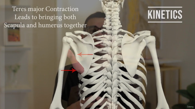 Shoulder Biomechanics Mastery Course : Kinetics & Kinematics - Screenshot_04
