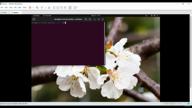 Learn Ubuntu Linux from Scratch - Screenshot_03