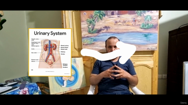 How to  paint kidneys anatomically with oil colors - Screenshot_03