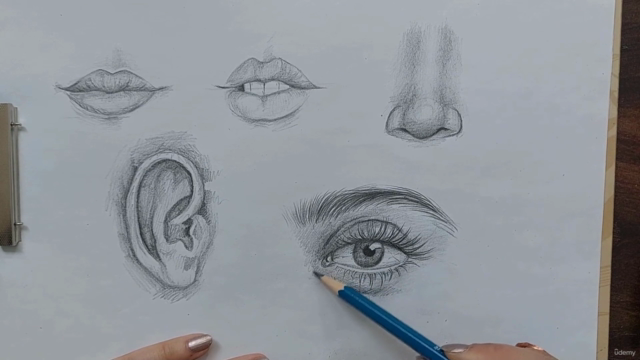 Fundamentals of Drawing: Facial Anatomy Essentials - Screenshot_02