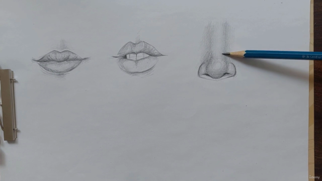 Fundamentals of Drawing: Facial Anatomy Essentials - Screenshot_03