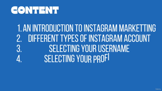 Instagram Marketing Bootcamp: From Zero to Hero - Screenshot_01