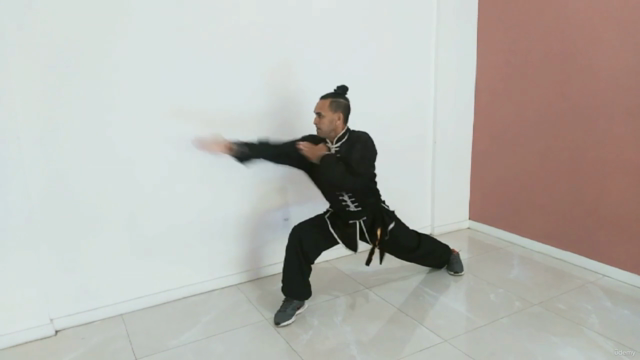 Combinações Básicas do Kung Fu Garra de Águia - Screenshot_04