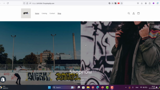 Shopify Amazon Dropshipping Mastery -Shopify Dropshipping - Screenshot_04
