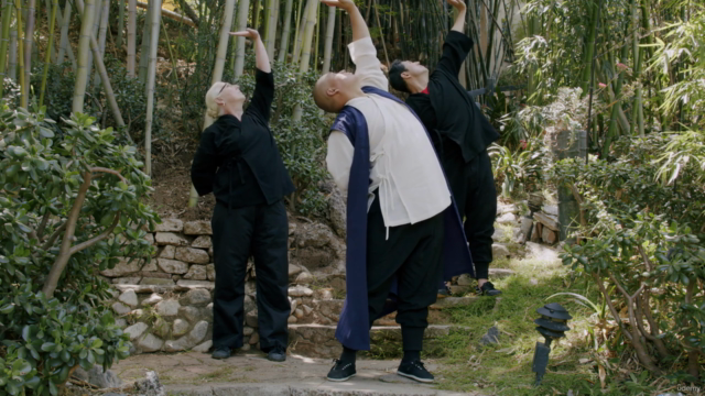 Shaolin Qigong | Seated Forms by Master Shi Yanxu - Screenshot_02