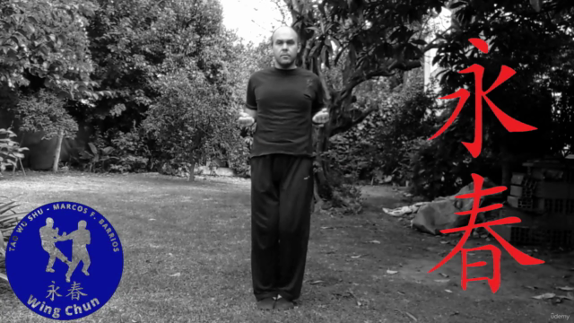 Chum Kiu Tao - 2da Forma de Wing Chun Kung Fu - Screenshot_03