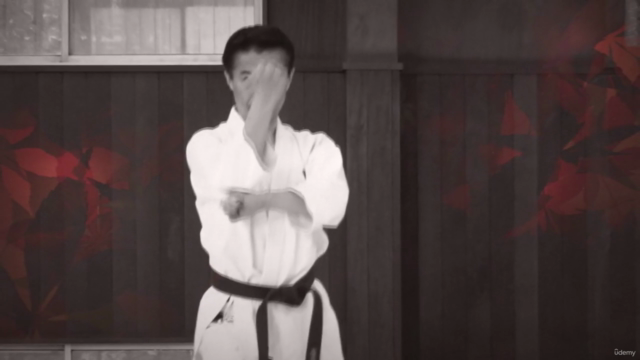 Shotokan Karate Keio Vol.8 Kata 5. Dan "Deutsch" - Screenshot_03