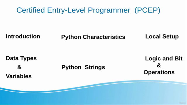 Python For Absolute Beginners & Pass The PCEP Exam - Screenshot_02