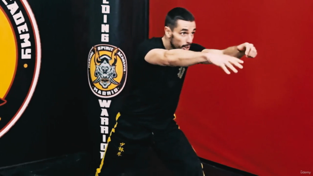 Kung Fu para Principiantes: Dominando el Babu Lian Huan Quan - Screenshot_04