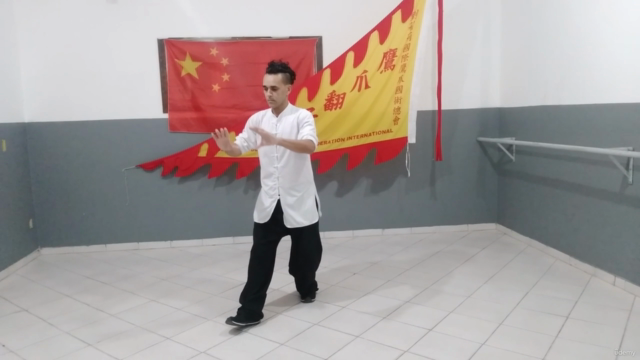 Tai Chi Chuan em 13 Passos - Screenshot_01