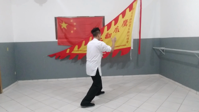 Tai Chi Chuan em 13 Passos - Screenshot_02