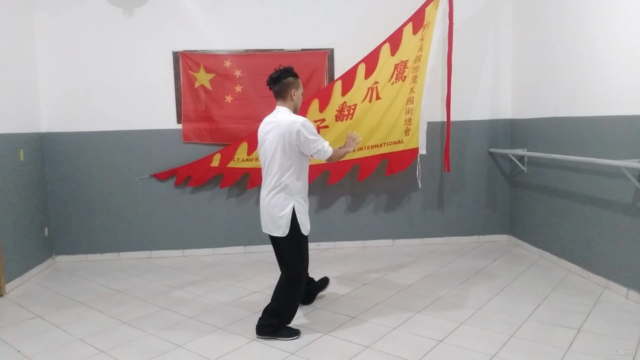 Tai Chi Chuan em 13 Passos - Screenshot_03