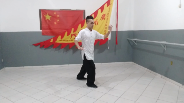 Tai Chi Chuan em 13 Passos - Screenshot_04