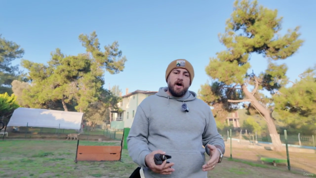 Köpek Eğitimi - Odaklı Topuk Yürüyüşü (Focused Heeling) – Screenshot 3
