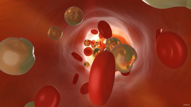Anatomie, Physiologie und Pathologie des Lymphsystems - Screenshot_01