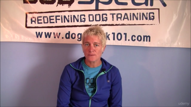 Dog Training: Creating a Solid Foundation for Your Dog - Screenshot_01