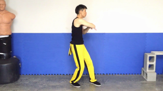 3 Wing Chun Kugn Fu Forms and Applications Master Class - Screenshot_03