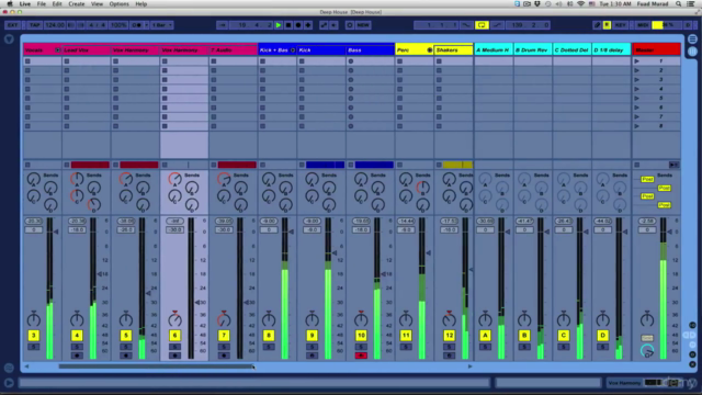 Mixing & Mastering Electronic Dance Music (EDM) - Screenshot_01