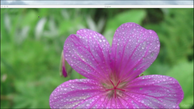 Learn Computer Vision with OpenCV Library using Python - Screenshot_02